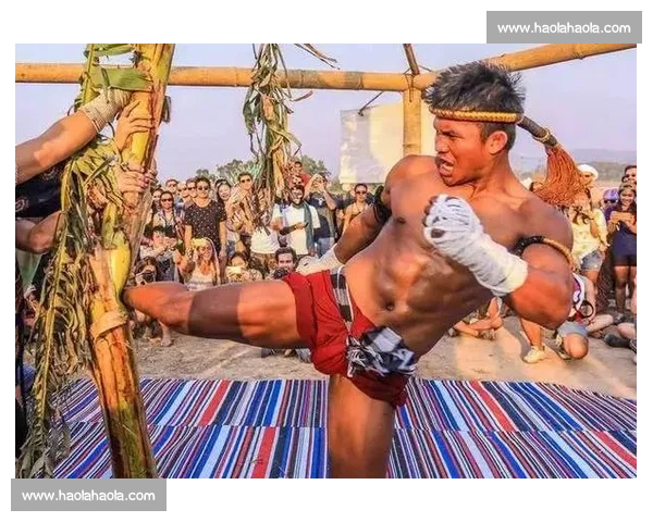 武林风巅峰之战播求对决一龙荣耀与争议交织的世纪较量全民关注之夜