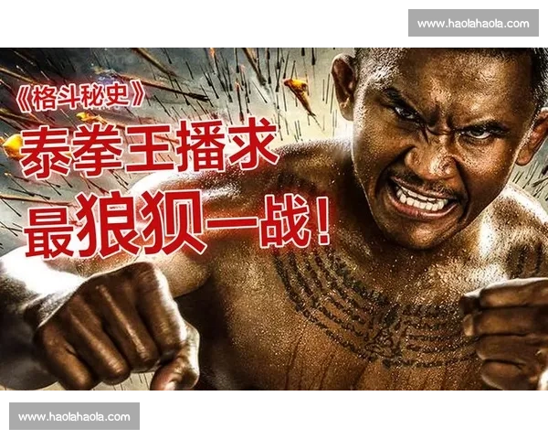 蔡良蝉对决播求巅峰之战视频解析与格斗精神全纪录回顾与技术看点